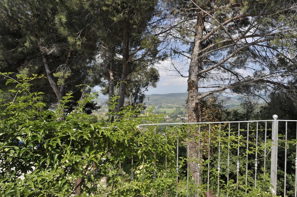Agriturismo La Grotta San Giuliano Terme Zewnętrze zdjęcie