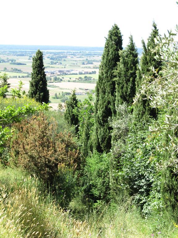 Agriturismo La Grotta San Giuliano Terme Zewnętrze zdjęcie